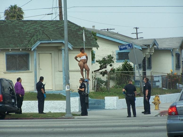 Obama supporter